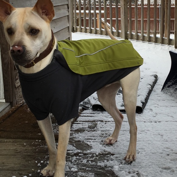 Ruffwear jacket sz L